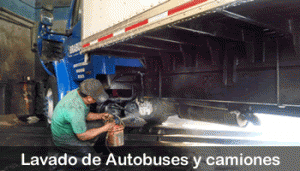 lavado de autobus